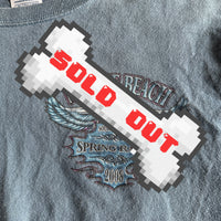 2008 Myrtle Beach spring rally souvenir cropped tee