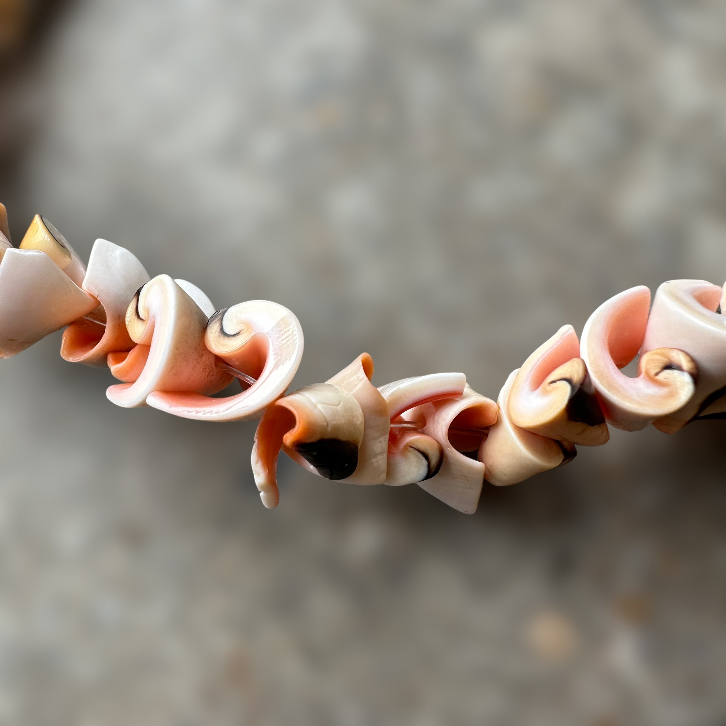 Vintage natural spiral shell necklace, pink everlasting luanos shell